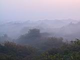 118-1861_IMG.JPG