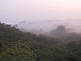 118-1870_IMG.JPG