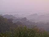118-1874_IMG.JPG