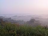 118-1875_IMG.JPG