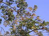 119-1922_IMG.JPG