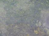 119-1969_IMG.JPG