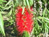 120-2024_IMG.JPG