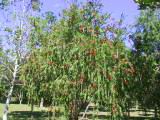120-2025_IMG.JPG