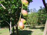 120-2026_IMG.JPG