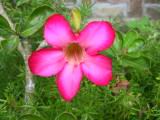 120-2041_IMG.JPG