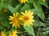 120-2044_IMG.JPG