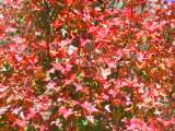 121-2116_IMG.JPG