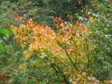 121-2131_IMG.JPG