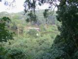 121-2160_IMG.JPG