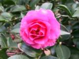 121-2200_IMG.JPG