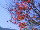 122-2248_IMG.JPG