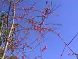 122-2253_IMG.JPG