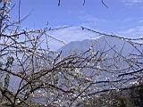 123-2380_IMG.JPG