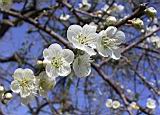 123-2381_IMG.JPG