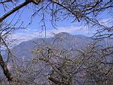 123-2383_IMG.JPG