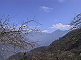 123-2388_IMG.JPG