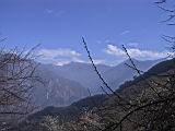 123-2391_IMG.JPG