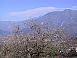 123-2392_IMG.JPG