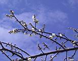 123-2318_IMG.JPG