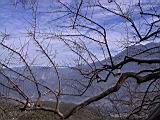 123-2325_IMG.JPG