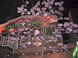 124-2457_IMG.JPG