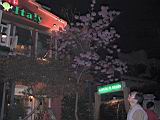 124-2458_IMG.JPG
