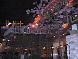 124-2459_IMG.JPG