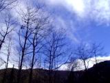20021121-011.jpg