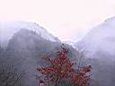 124-2482_IMG.JPG