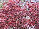 124-2494_IMG.JPG