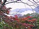 124-2497_IMG.JPG
