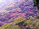 125-2516_IMG.JPG
