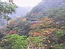 125-2521_IMG.JPG