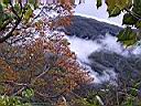 125-2554_IMG.JPG
