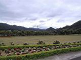 126-2626_IMG.JPG