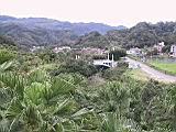 126-2639_IMG.JPG