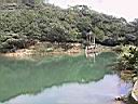 129-2921_IMG.JPG