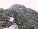 129-2929_IMG.JPG