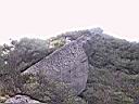 129-2938_IMG.JPG