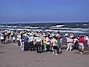 161-6110_IMG.JPG