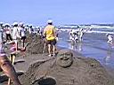 161-6112_IMG.JPG
