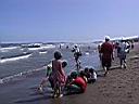 161-6113_IMG.JPG