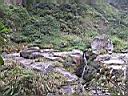 178-7863_IMG.JPG