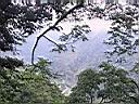 178-7868_IMG.JPG