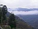 178-7879_IMG.JPG