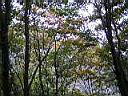 PC190242.JPG