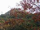 PC190265.JPG