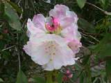 113-1369_IMG.JPG
