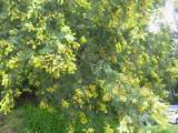 113-1371_IMG.JPG